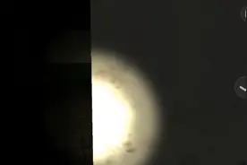 标本零攻略（上）