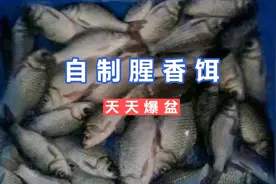 怎么做腥香饵料天天爆护，比商品饵都好用，纯天然无污染牛饵。视频封面