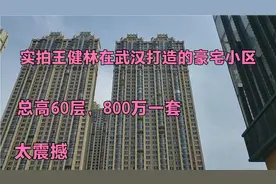 王健林在武汉打造的豪宅小区，总高60层，最低800万一套，太震撼视频封面