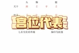 宫位代表哪些？视频封面
