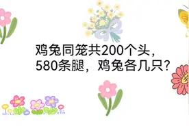 鸡兔同笼的万能公式你都理解了吗？视频封面