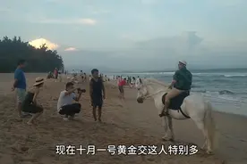 在海边骑马照相要30块一张，一天收入轻轻松松过一千视频封面