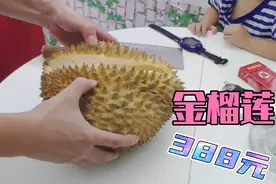 广东吃金榴莲，一个388元，开出来的肉肉太爽了视频封面