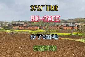 曾经住满人的家属房，人去楼空长满荒草，部分改成猪舍牛舍视频封面
