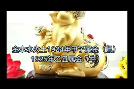 金木水火土是哪年生的就是你属星视频封面