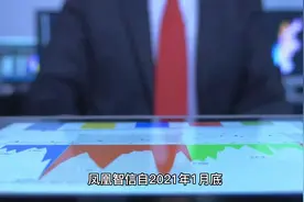 P2P凤凰智信——多少难友的痛视频封面