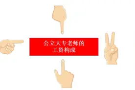 公立大专老师的收入构成视频封面