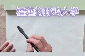 福建的5所野鸡大学，害了很多人，毕业证如同废纸视频封面