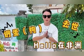 在非洲，本想接狗子们回家，没想到“钢蛋”已经去世，再见钢蛋。视频封面