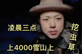 藏族人挖虫草有多挣钱？小伙凌晨三点4600米挖虫草，这一趟赚多少视频封面