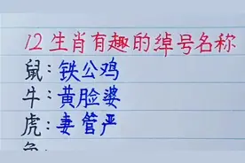 十二生肖有趣的绰号名称，你们觉得怎么样呢？视频封面