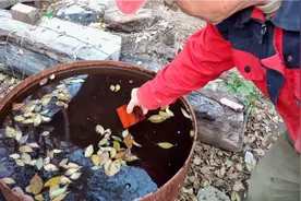 展示老枣木的硬度并不是抬高身价，而是介绍它的特性和说明加工困视频封面