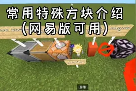 我的世界常用特殊方块介绍(网易版可用) #我的世界 #指令 #教学