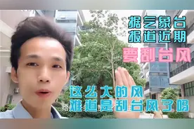 肇庆市突然刮大风，据气象台报道近期有台风，难道是今天刮台风吗