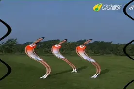 正版七彩阳光视频封面