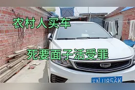 农民小亮新车3年2千公里！买车就是死要面子活受罪。视频封面