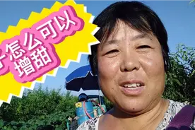 桃农朋友，桃子成熟前这样喷药，可以提高糖度1到2个点视频封面