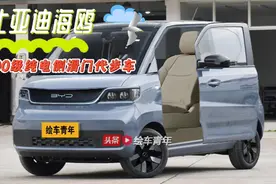比亚迪海鸥假想：空间越级的侧滑门A00级纯电代步车k-car视频封面