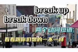 每日英语 两个动词短语 break up  break down