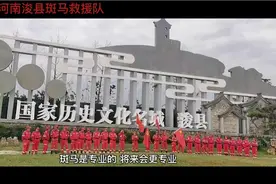 河南省浚县斑马救援视频封面