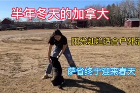 加拿大漫长的冬天，萨省终于迎来春天，春暖花开适合户外活动！视频封面