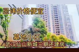 武汉墓地小区忌讳价格便宜，汉阳仙山新城三期靠武汉还建7套房子视频封面
