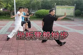 拳友做动作引起大家惊呼，采用坐凳子般拗步，终于找到了感觉视频封面