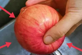 苹果就这样吃，这个夏天你也能穿上自己喜欢的衣服逛街啦！快试试