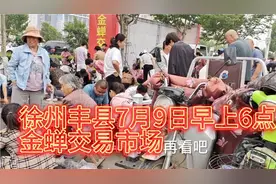 实拍徐州丰县7月9日金蝉快下市 人气依旧爆棚 看看价格是涨是落