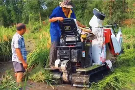 国产小型水稻收割机，烂泥田也不怕，为中国科研人员点赞！