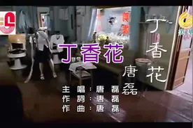 《丁香花》唐磊MV 经典老歌，听的都是满满的回忆啊😊☺☺