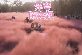 《浮夸》这首歌更多的是一种讽刺，讽刺这个压制人的社会视频封面