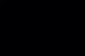 快手极速版。大家也来试试吧视频封面