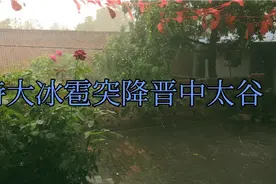 8月13日特大冰雹突降晋中太谷视频封面