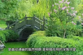 沉默，是一种极致的成熟