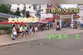 实拍西安白鹿原大学城，七所大学环绕，美女大学生太多了视频封面
