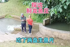 探访贵州凉都鲟龙鱼庄，山泉水养的鲟鱼肉质鲜美，生鱼片超好吃视频封面