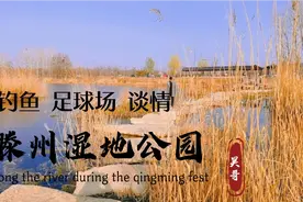 山东微山湖湿地公园之外，在滕州还有个不错的湿地公园，关键免费视频封面