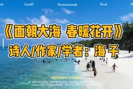 《面朝大海  春暖花开》（诗歌）诗人作家学者：海子（査海生）视频封面