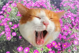 吐槽一下在汗蒸馆里发生的事视频封面