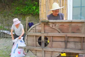 小时候最喜欢把风车当作玩具玩 还差一步就可以吃到油了视频封面