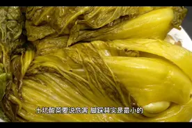土坑酸菜脚踩的危害其实是最小的，它最大的危害在于它发酵过程视频封面