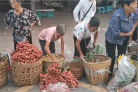 四川也能种荔枝，两广人民可能不信，价格和两广荔枝相差多少？视频封面