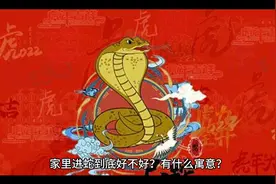 家里进蛇到底好不好？有什么寓意？视频封面