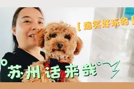 苏州话中有4个歇后语，请你一起来猜猜看，分别代表什么意思？视频封面