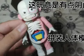 居然把人体器官分解做成玩具？？megahouse人体模型拼装玩具视频封面