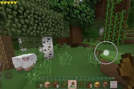 这是我的世界的第一期后面我会邀请我的好友一起玩的