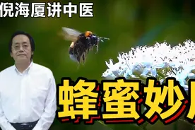 倪海厦讲中医蜂蜜妙用