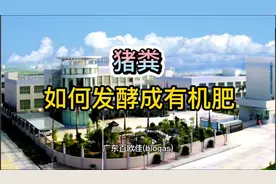 猪粪怎么发酵成有机肥，3种方法根据实际情况选择，农村赚钱项目视频封面