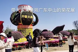 有幸参观一下广东中山菊花展会，今天阳光明媚，游客也好多哦视频封面